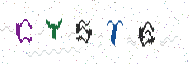 CAPTCHA code